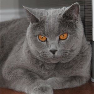 Meet your Posher, Olga